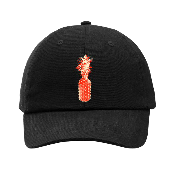 Red Pineapple Dad Hat – The Happy Fits