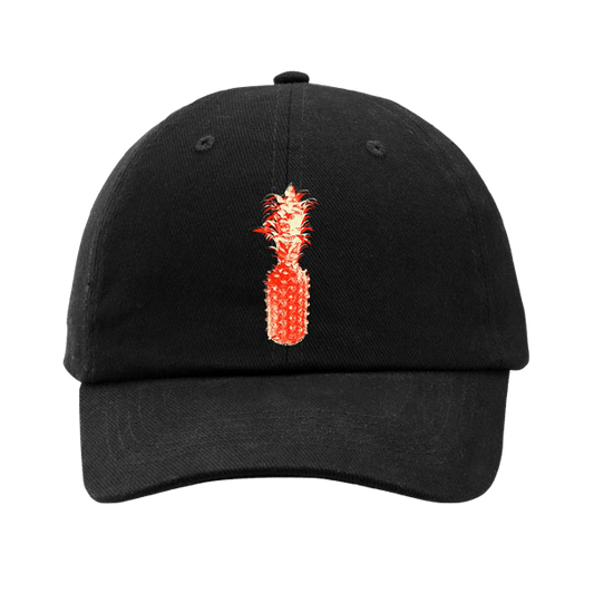 black dad hat with red pineapple design on the front