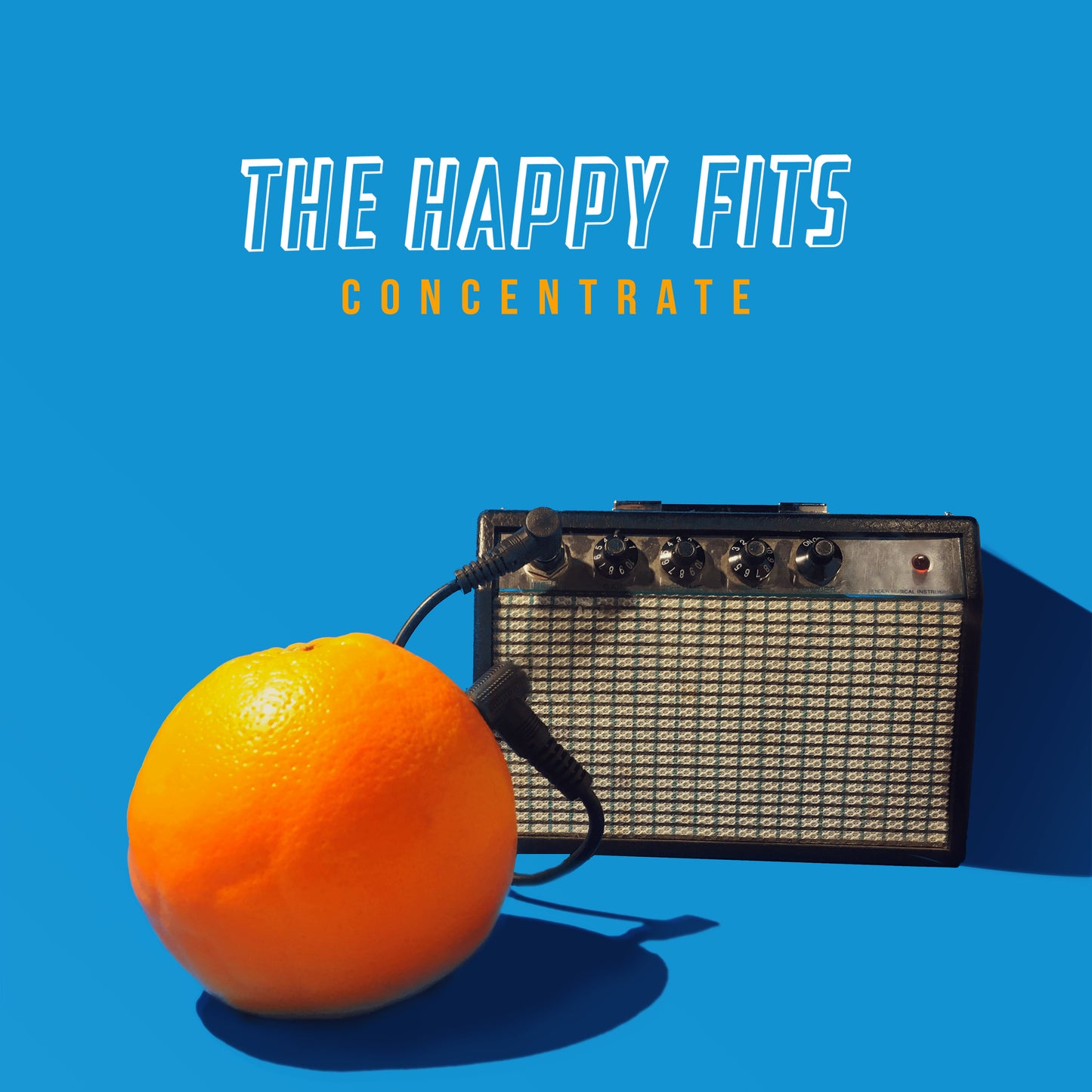 The Happy Fits Concentrate Vinyl